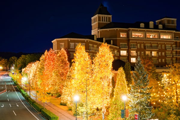 【寒河江・東根・天童・山形市内発】海の幸!山の幸!銘酒! 歳末まるごと買い出し&イルミネーション in宮城2